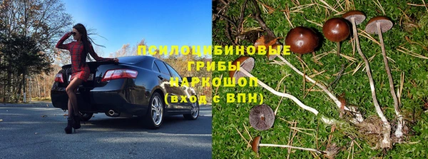 каннабис Алексеевка