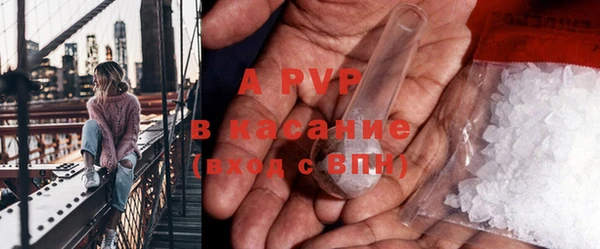 apvp Алексин