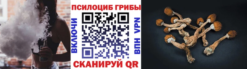 blacksprut Канаш Галлюциногенные грибы Magic Shrooms где найти наркотики