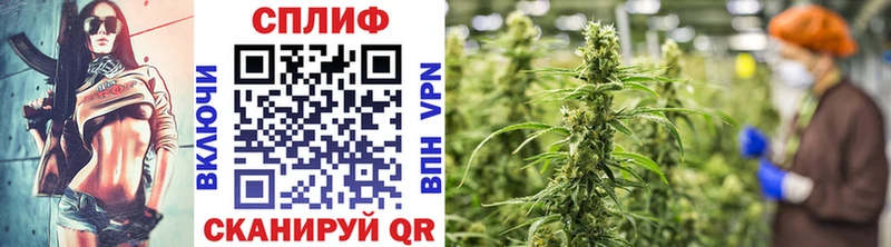 Шишки марихуана THC 21%  Канаш 